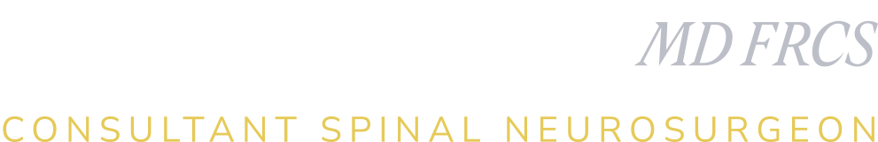 Anthony Ghosh logo and tagline